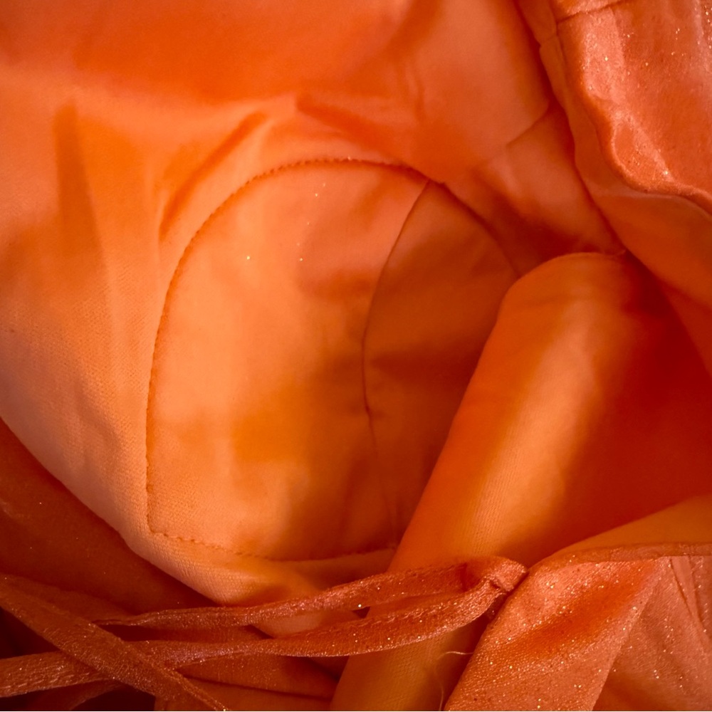 Bridal Boutique Tangerine Orange Sparkle Gown 16 Mother Of The Bride Formal NWT - Picture 9 of 9